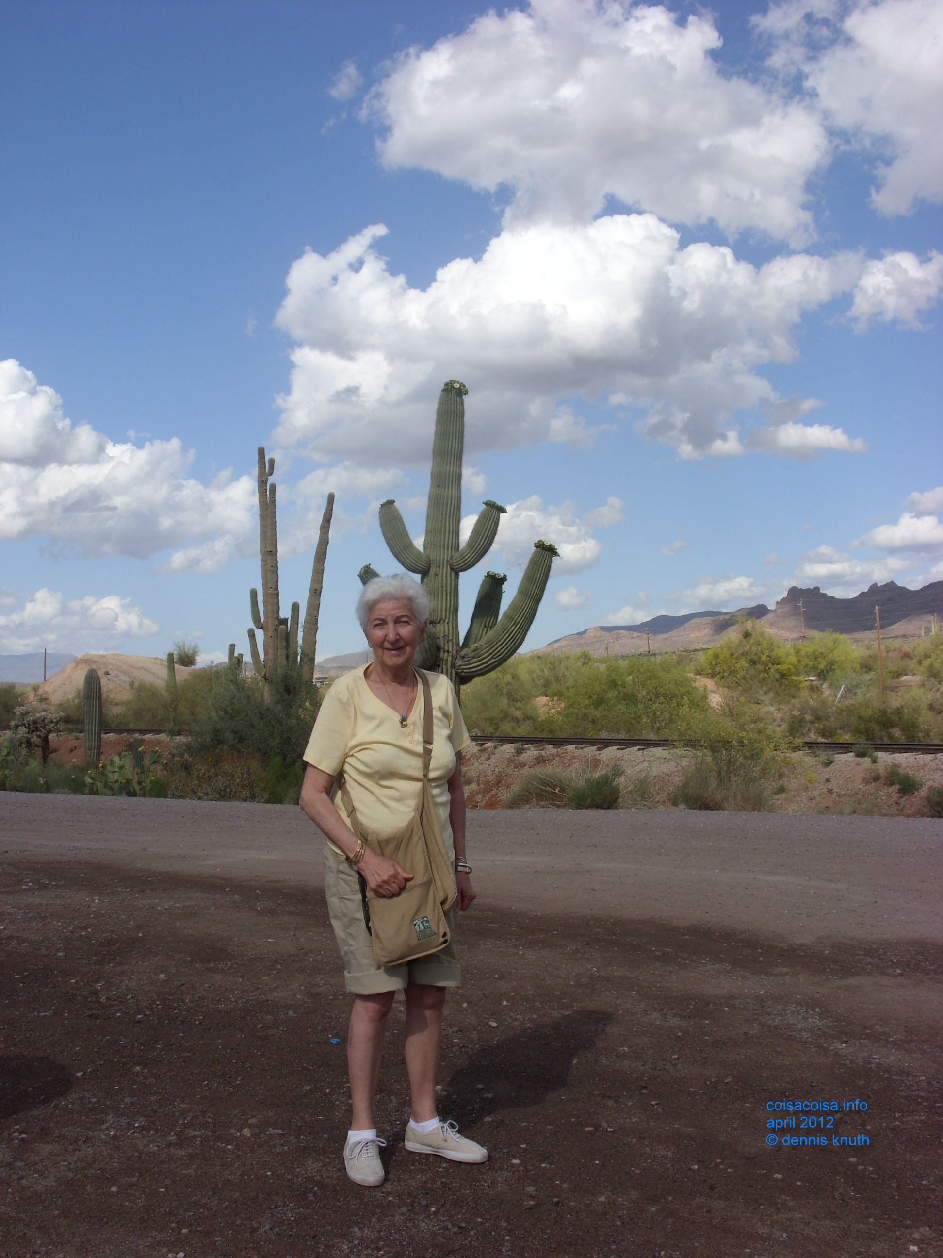 2012_04_26_e_apache_junction_ghost_town_0008.jpg (large)