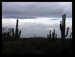 2012_04_26_a_superstition_mountain_0025.jpg