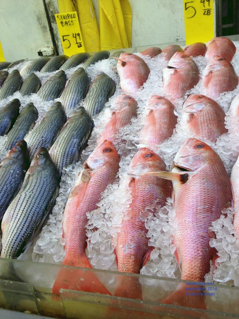 Fresh fish in the Hong Kong Supermarket, Elmhurst