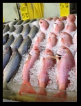 Fresh fish in the Hong Kong Supermarked