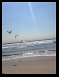 2014_09_18_beach_k_iphone_0028.jpg