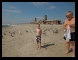Dennis feeding sea gulls