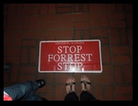 Stop Forrest Stop Feet and Toes