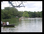 The boat pond at Central Park