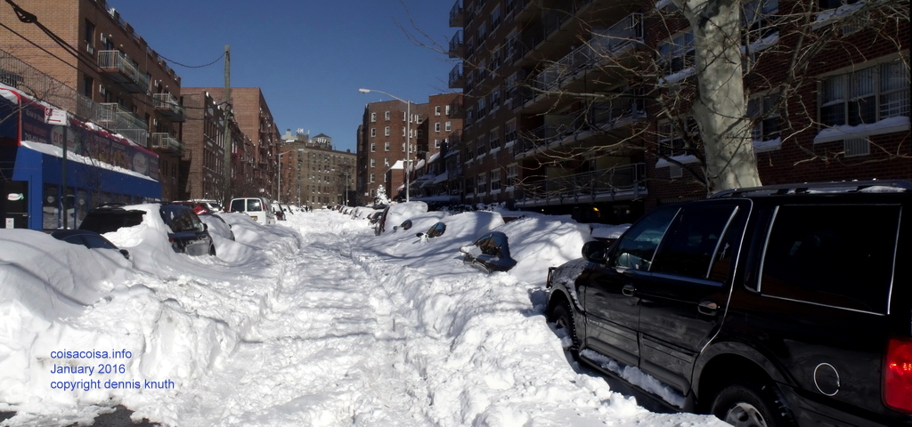 Snow buried cars on 82nd street