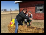 Straw Bale Compost making