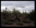 2012_04_26_a_superstition_mountain_0023.jpg