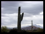 2012_04_26_a_superstition_mountain_0028.jpg