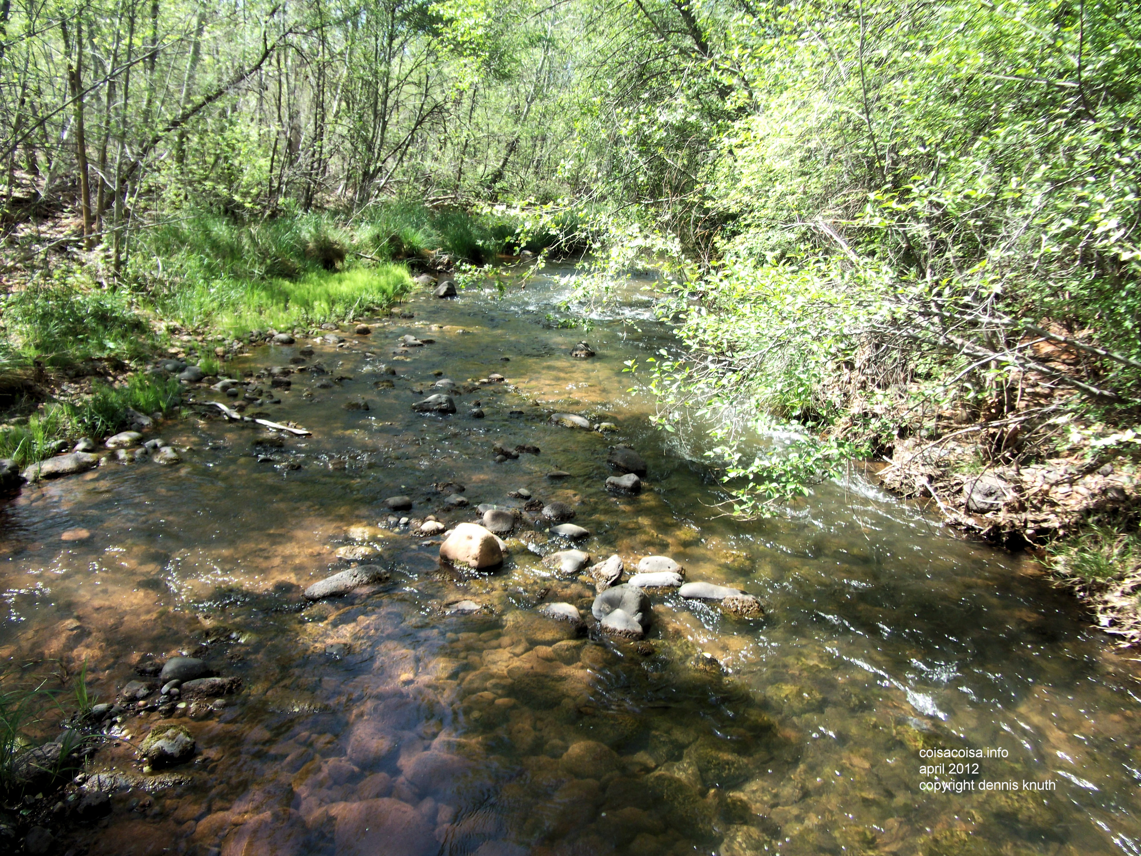 Babbling brook near a Sedona Arizona Hiking Trail