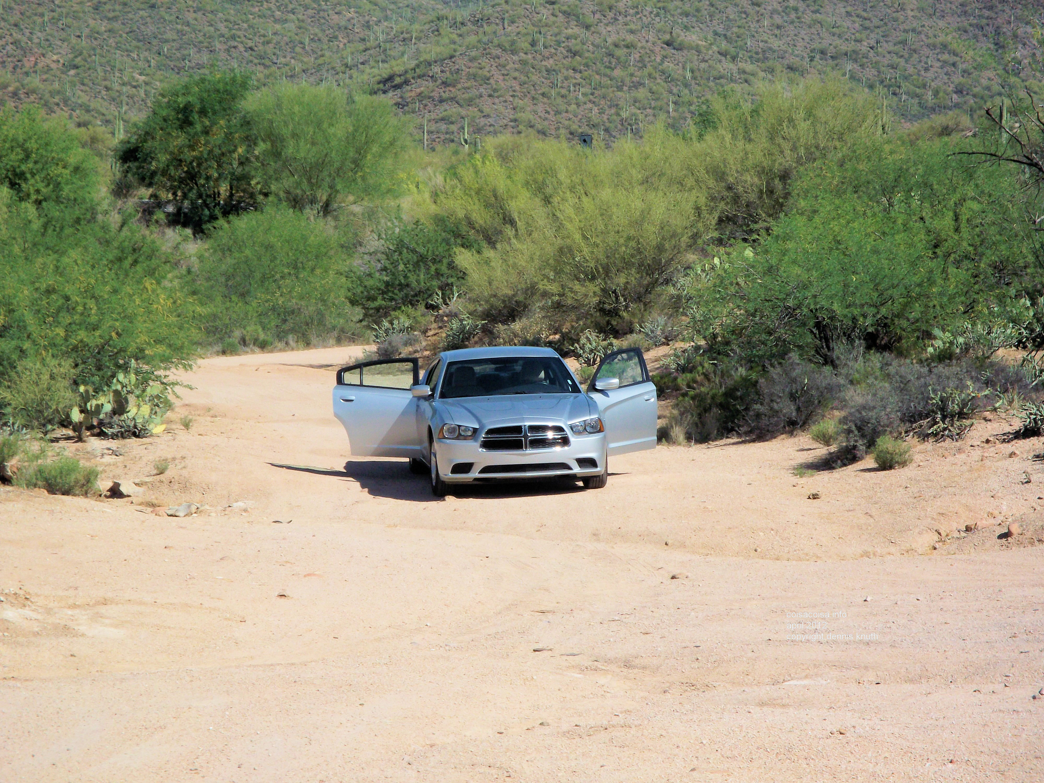 Stop in the Desert Wilderness near Payson