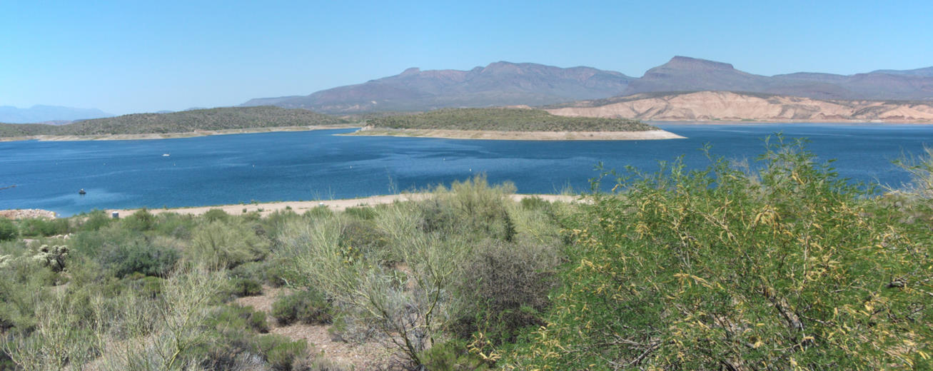 The long lake called Roosevelt in Arizona