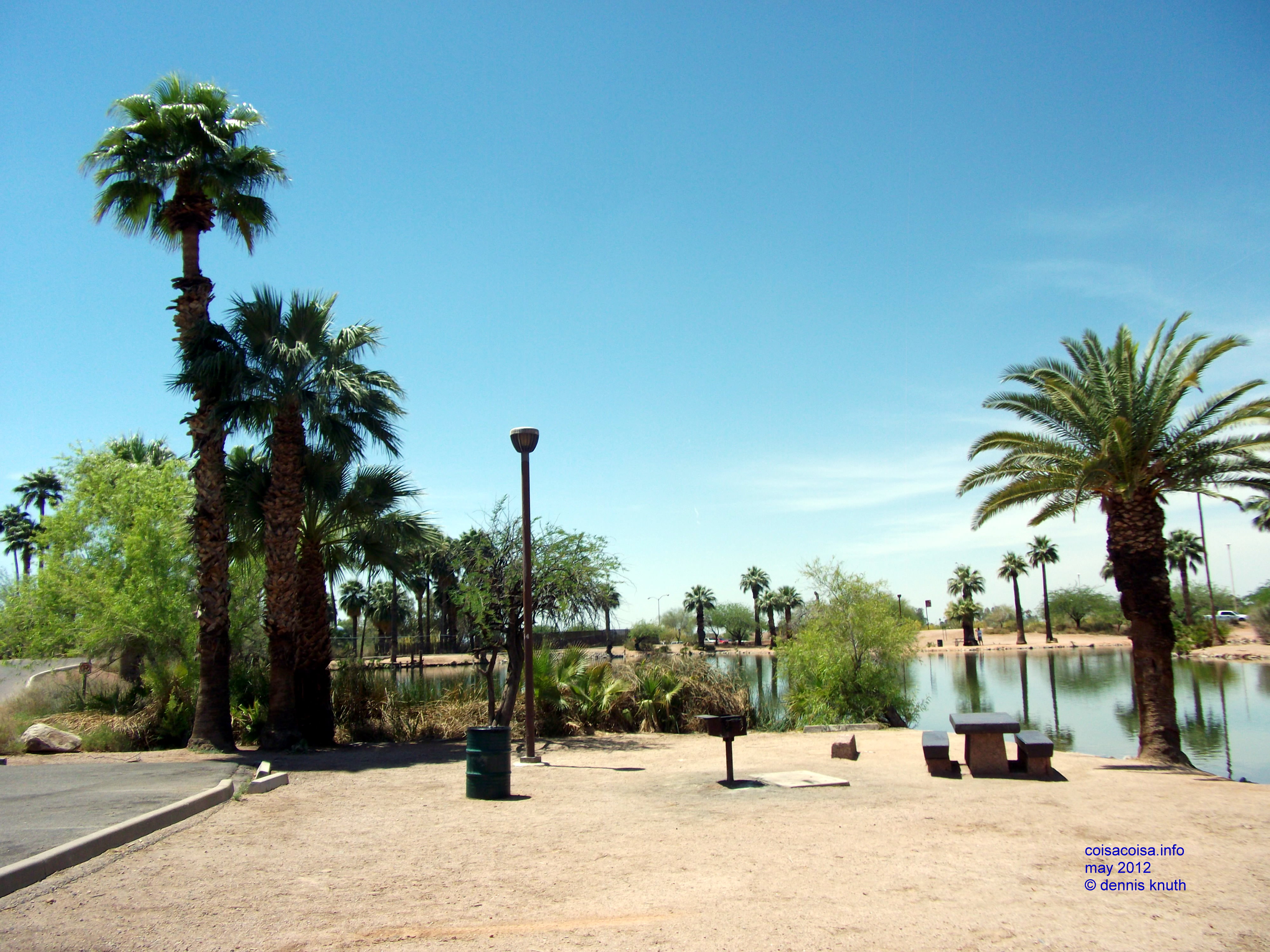 Palms line the Park in Papago