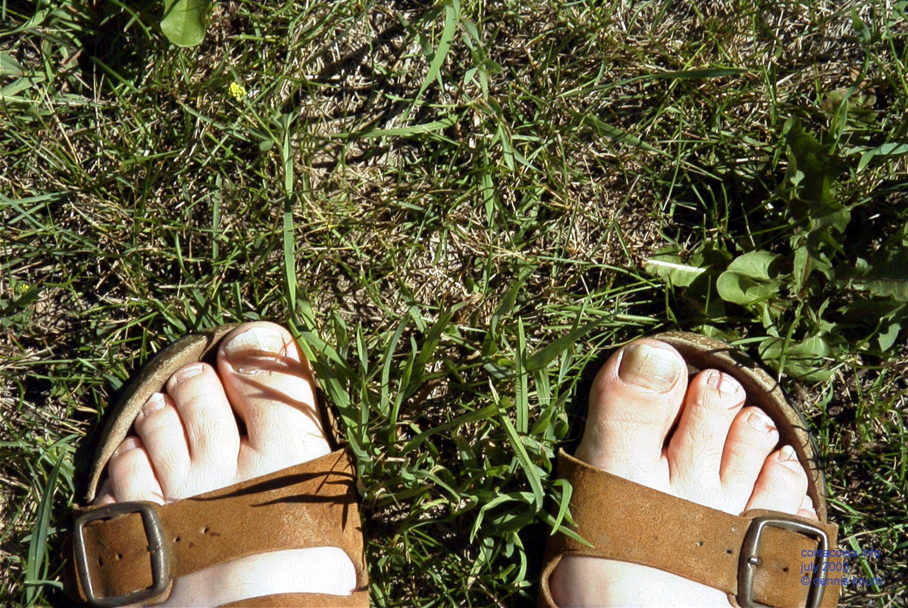 Sexy man feet and toes in the lawn wearing sandals CoisaCoisa