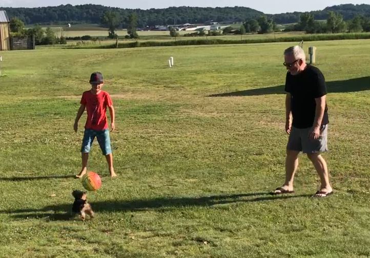Tiny dog playing soccer with Dennis and Colin