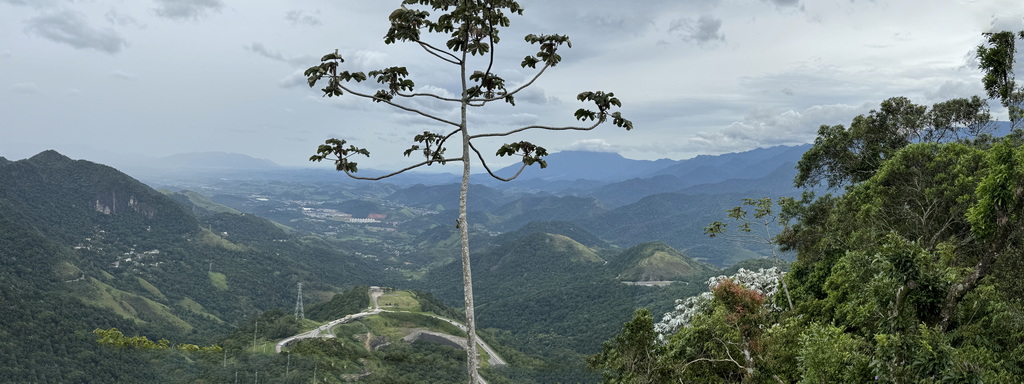 Panorama Mountain View